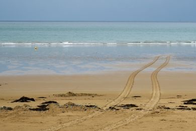 Albrecht Wermke: Spur ins Nichts